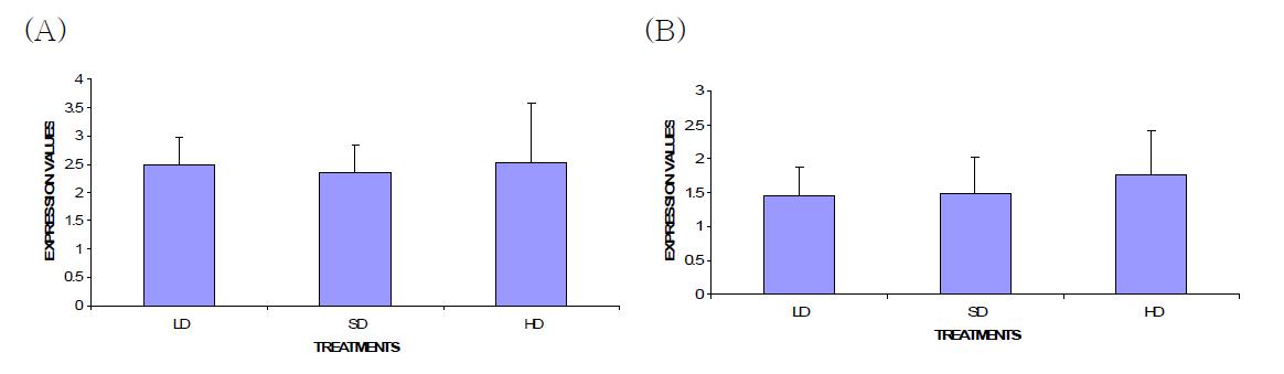 The mRNA expression levels of HSP90 in blood(A) and liver(B) of broiler chickens subjected to low stocking density (LD), standard stocking density(SD) and high stocking density(HD)