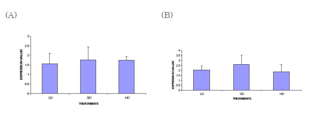The mRNA expression levels of Bcl-2(A) and Bcl-X(B) in liver of broiler chickens subjected to low stocking density (LD), standard stocking density(SD) and high stocking density(HD)