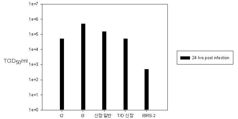 구제역바이러스(AS/SKR/2002,4passagedinIBRS-2)에 대한 세포의 감수성테스트 결과