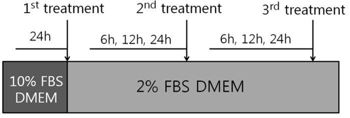 Schematic diagram of Na2EDDA treatments for the separation of fibroblasts from epithelial cells. DMEM containing 10% FBS was used for primary culture and DMEM containing 2% FBS was used justafter firsttreatment.Hours ofcellculture before treatment were indicated