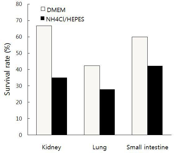 Survival rate of digested cells from different organs after removing RBC either by dilution method or by lysis method.Dilution of minced tissues with culture medium (DMEM) and discard supernatant 2 minutes after sedimentation.Treatment of minced tissues with 0.83% NH4Cl in HEPES.