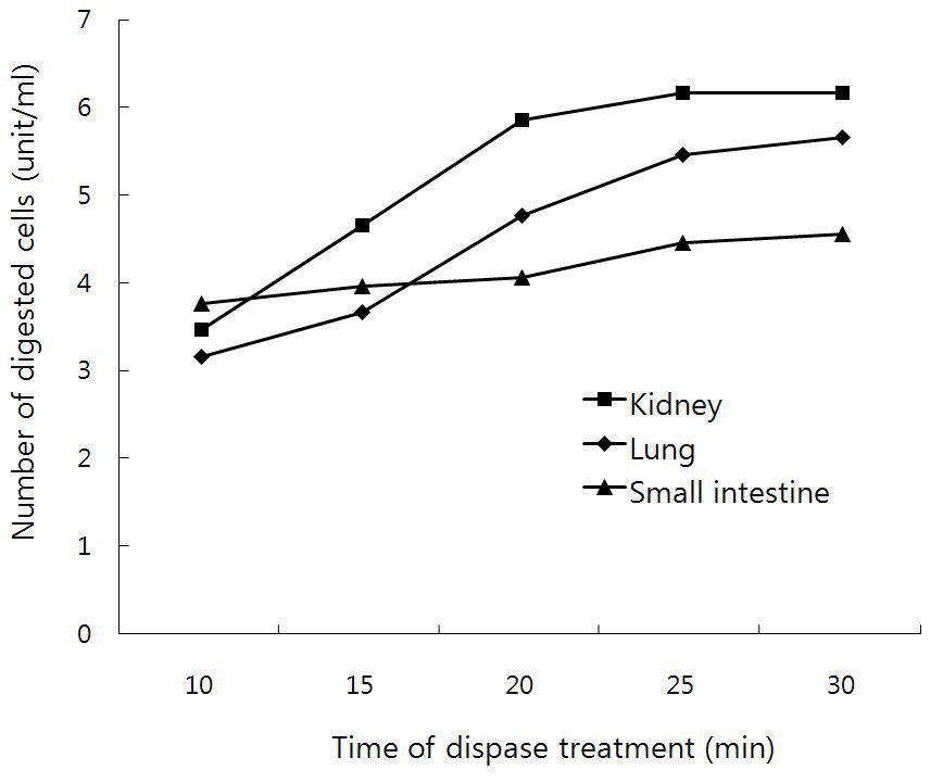 Digestion of minced organs by dispase treatment. Proper time of dispase treatmentwas about10-15 minutes since longertreatmentthan 15 minutes resulted in more contamination of fibroblasts as well as low survival of digested cells after plating.