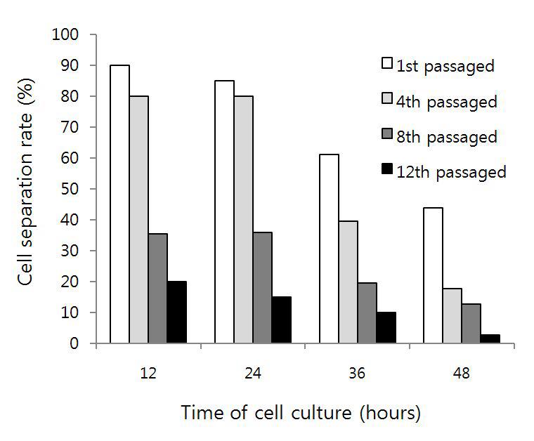 Effectsofculturetimeand numberofpassageson theseparation offibroblasts byNa2EDDA treatments.