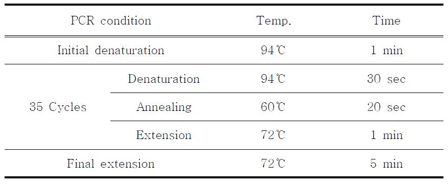 PCR conditions for the detection of mycoplasma