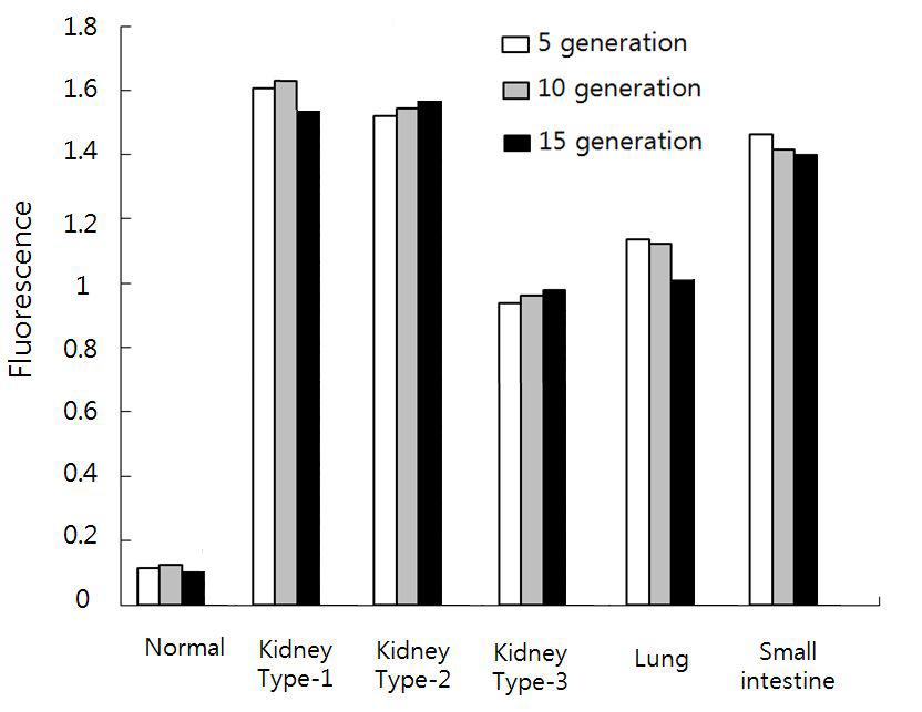 Real-time PCR analysis of telomerase expression in immortalized primary pig epithelialcelllines.