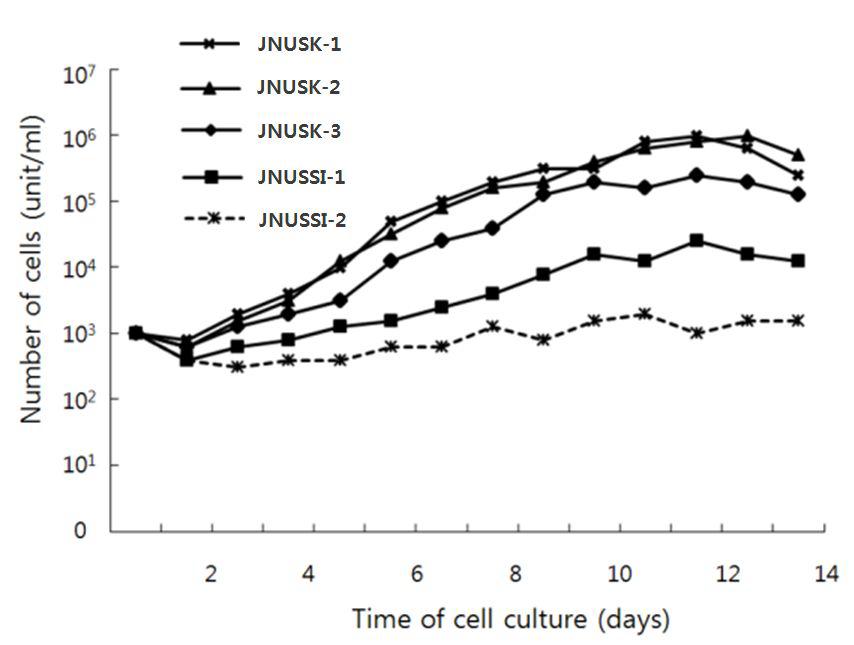 Thegrowthcurveofimmortalizedswinekidneycelllines.