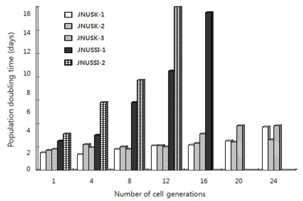 Thepopulationdoublingtimeofimmortalizedprimaryswinecelllines