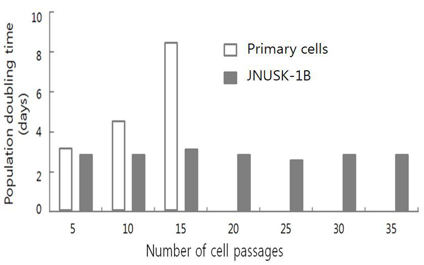 The population doubling time of immortalized swine epithelial cells line (JNUSK-1B)andprimarycells.