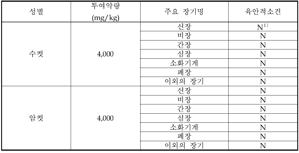 시험종료 후 부검소견결과