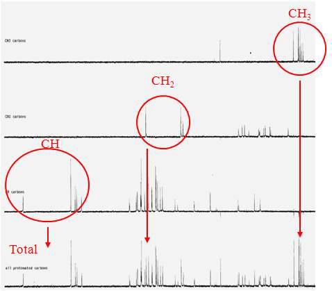LC-MS spectrum of antifungal compound. Molecular weight of compound were calculated. (= 1049.4)