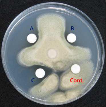 Antifungal activity of protodioscin standard material.