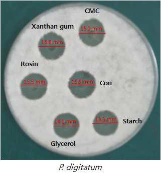 Supplements effect on Antifungal activities of protodiosin.