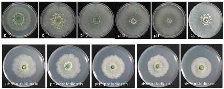Stability of the antifungal compound against Penisillium digitatum with different pH in PDA.
