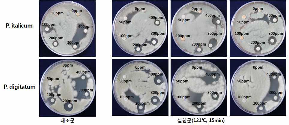 Antifungal activity of protosioscin (JIAHERB) against P. digitatum and P. italicum after heat treatment