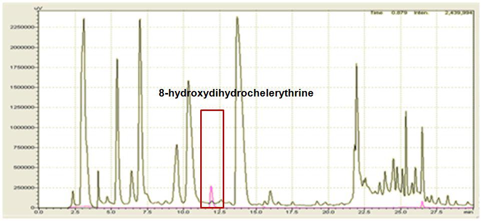 n-BuOH 분획과 8-hydroxydihydrochelerythrine의 HPLC chromatogram