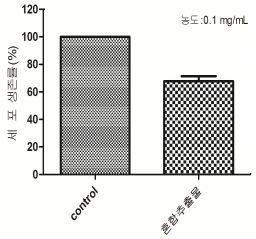 MEF 세포 생존율을 통한 혼합추출물의 세포독성 평가