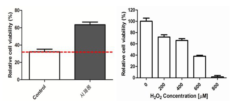 H2O2가 유도하는 산화적 손상에 대한 시제품의 세포보호 효능 평가