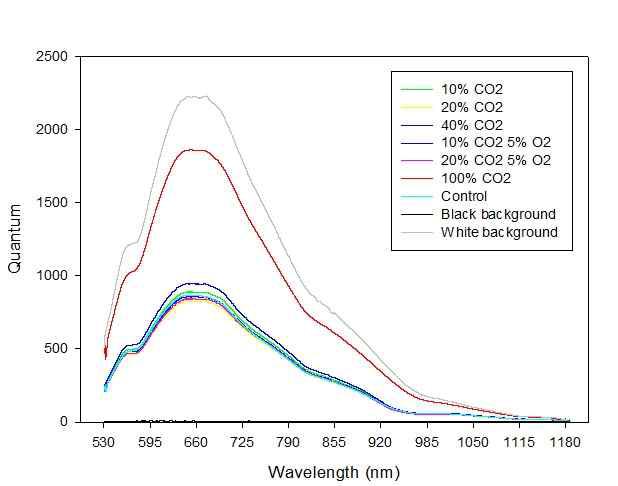 Reflectance spectrum of onion slices from 530 to 1180 nm.