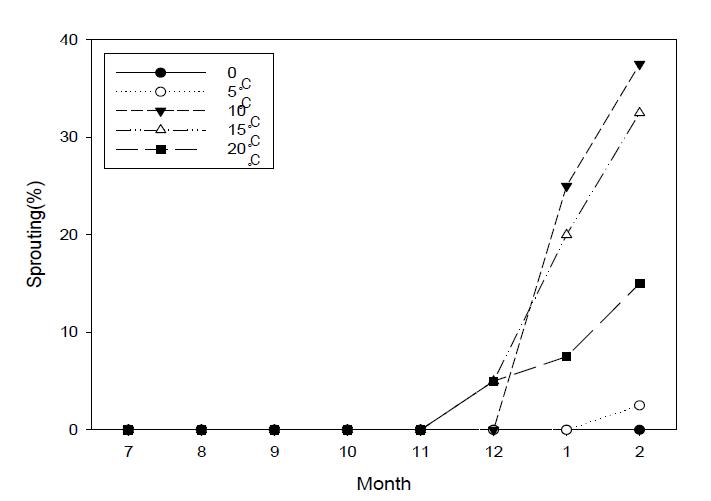 Effect of storage temperature on sprouting of onion bulbs