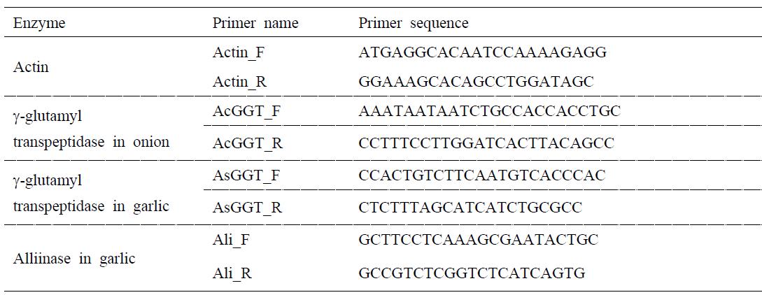 PCR primers used in this study