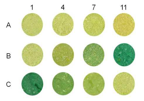 Garlic greening occurrences during garlic storage depending on storage temperature