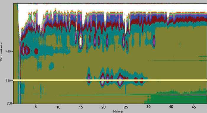 Spectrum of blue pigments in natural garlic juice.