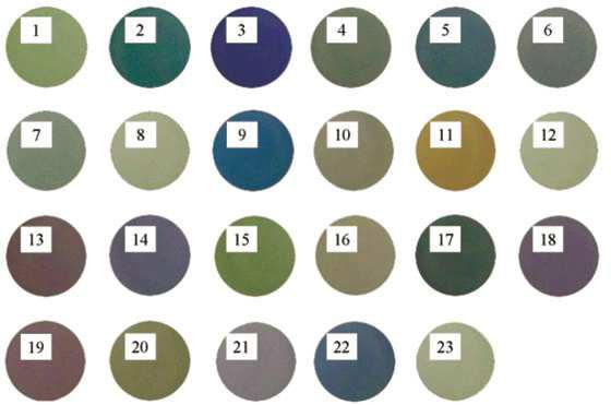 Color development by reaction of thiosulfinate with different amino acids.