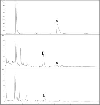 Representative chromatograms of precursors in onion (A) and garlic bulbs stored at 0℃ (B) and 20℃ (C) for 3 months