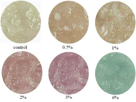 Pink and green pigment formation by the addition of 2-PeCSO at different concentrations in crushed onion bulbs.