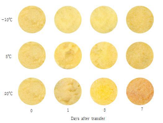 The effect of storage temperature change on color of crushed garlic bulbs