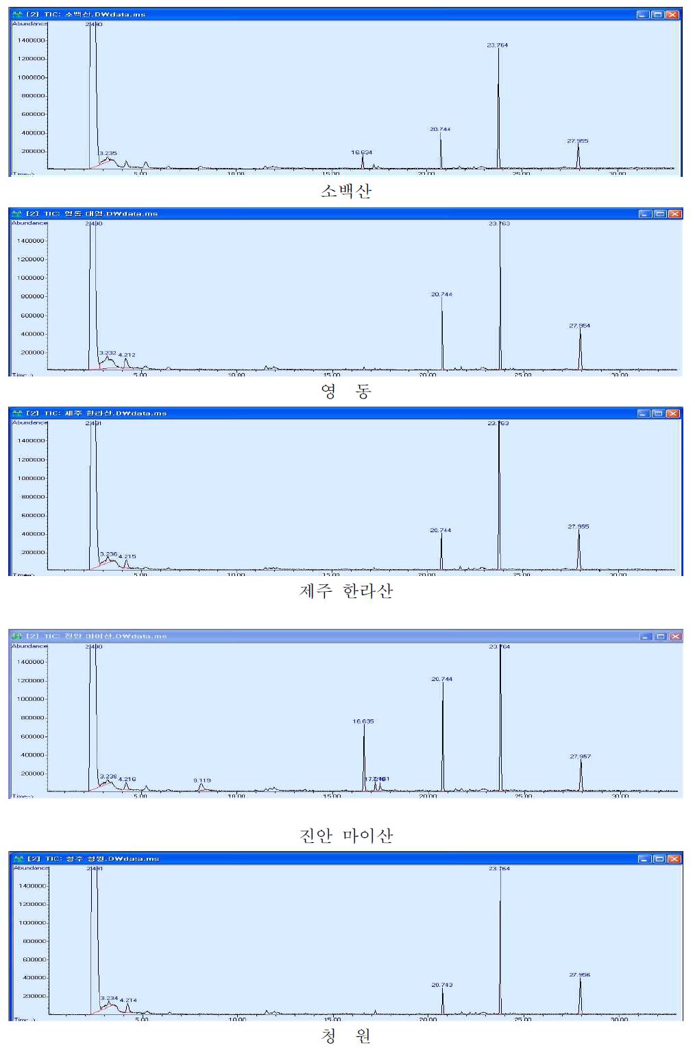 GC-MS를 이용하여 분석한 표고의 향기성분의 크로마토그램