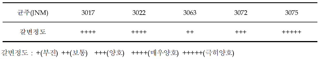 표고봉지재배 균주별 갈변정도