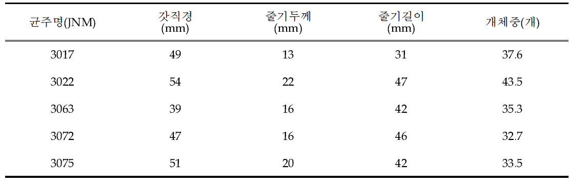 균주별 자실체 생육