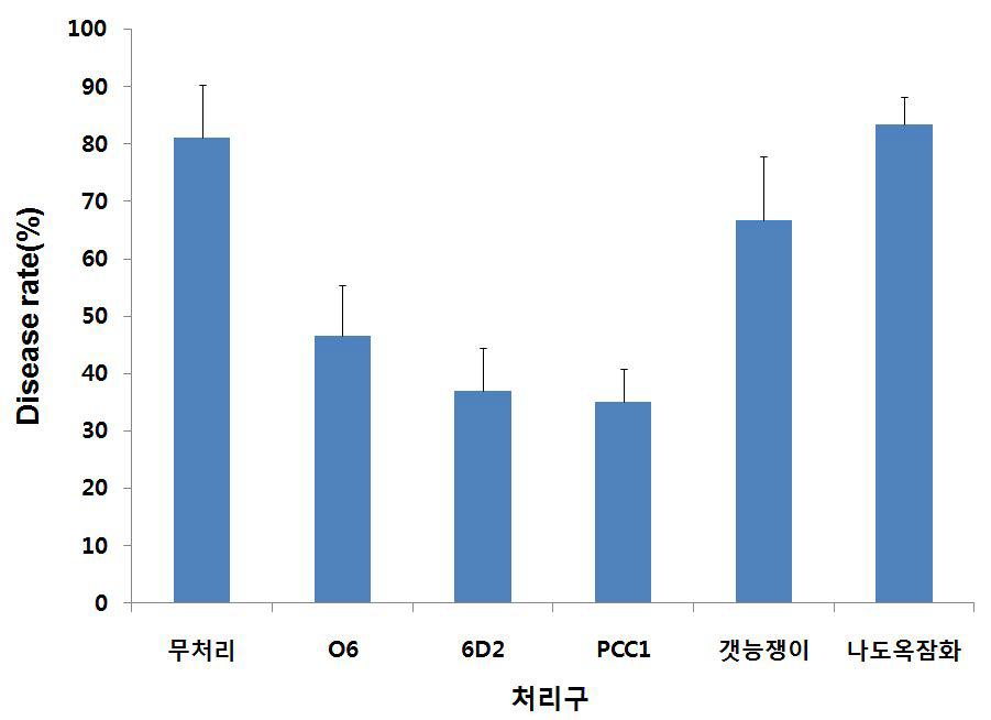 종 선발 clone과 천연 추출물의 열매 탄저병 발생율