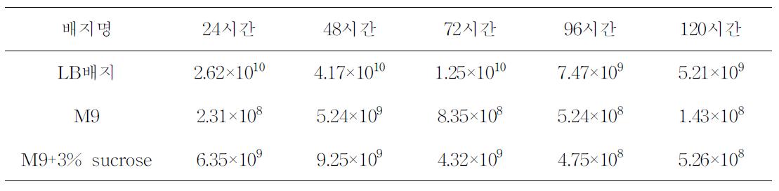 정 배양 시간 및 배지 선발