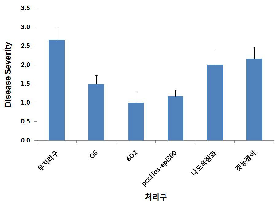 종 시제품의 도열별 발생율 조사