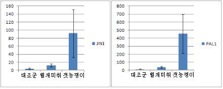 개미취와 갯능쟁이 추출물 처리에 의한 JIN1과 PAL1의 발현 증가