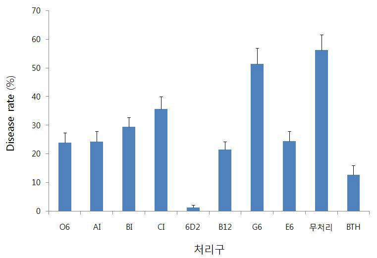 발된 7균주의 저항성 유도 능력 2차 검정 결과