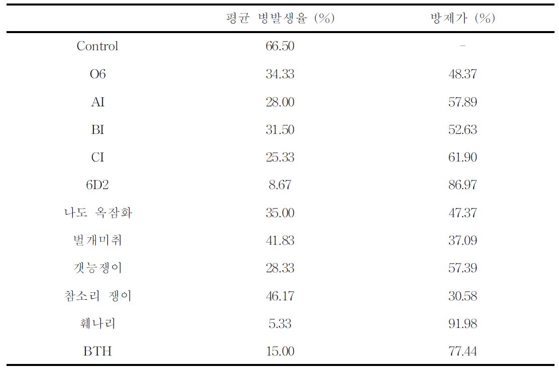 종 선발된 균주와 추출물의 흰가루병에 대한 2차 방제가