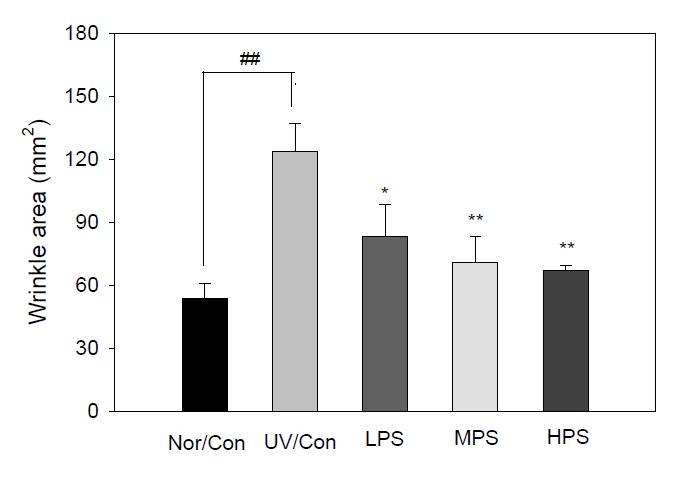 Effect of PS on the wrinkle area of hairless mice exposed to the chronic UV irradiation