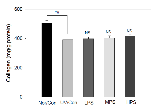 Effect of PS on the collagen content of hairless mice exposed to the chronic UV irradiation