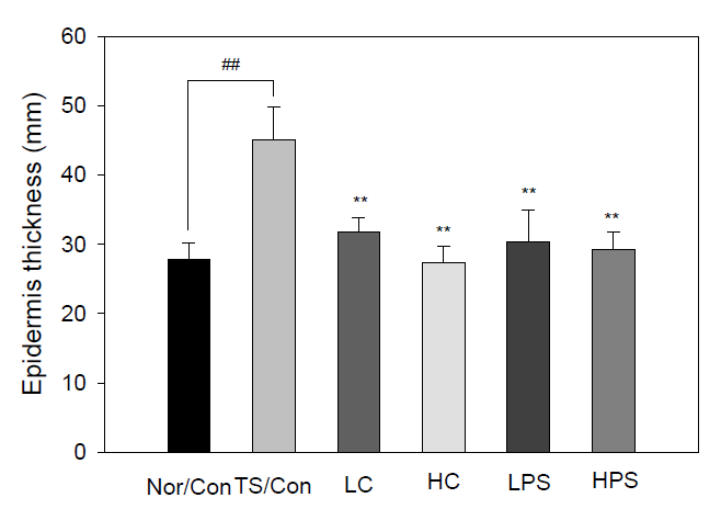 Effect of PS on the epidermal thickness of hairless mice skin-damaged by tape stripping