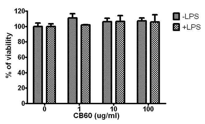 Effect of glucosylceramide on RAW 264.7 cell viability using MTT assay