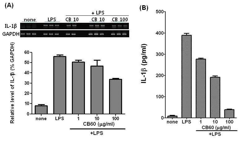 The effect of glucosylceramide on the expression levels of IL-1β mRNA and protein in RAW 264.7 cells