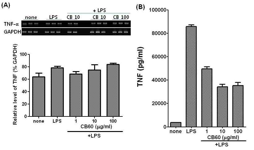 The effect of glucosylceramide on the expression levels of TNF-α mRNA and protein in RAW 264.7 cells