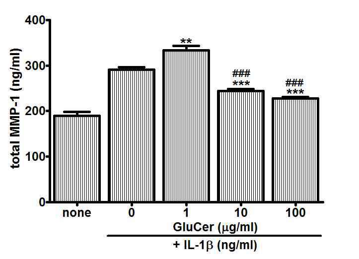 The effect of GluCer on the expression of total MMP-1 in FLS cells