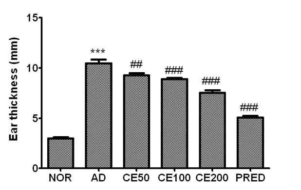 Effect of glucosylceramide on ear thickness in TMA-induced atopic mice.