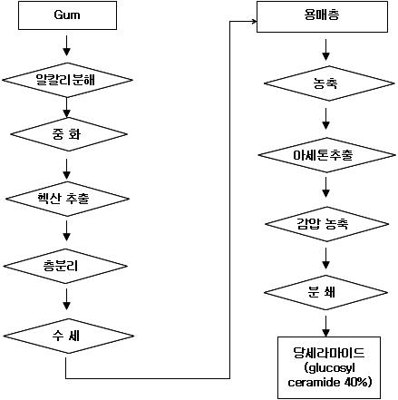 식물 세라마이드 생산 공정도