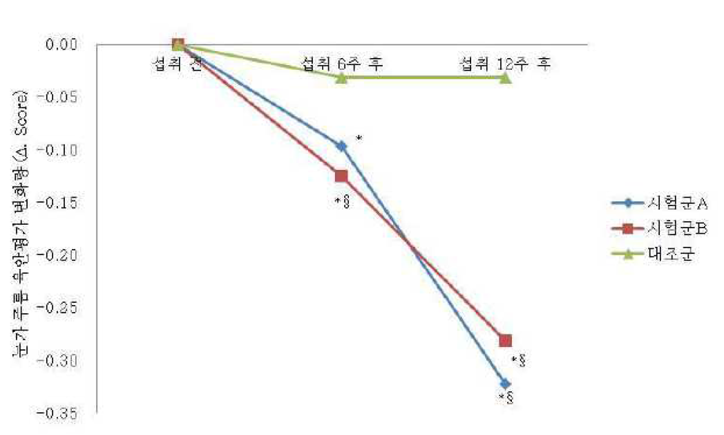 눈가 주름 육안평가 변화량