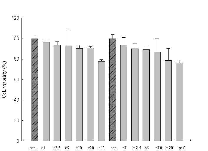 Effect of ceramide and PS on the cell viability of mouse melanoma cell(B16F10) by MTT assay.